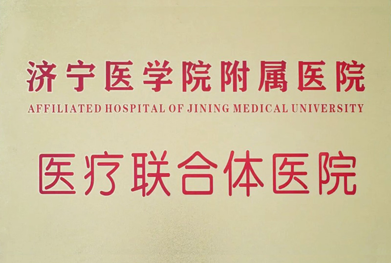 荣誉资质